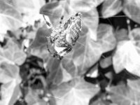 IMG 0329 1