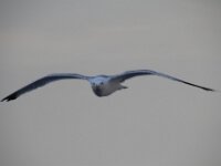 IMG 4839