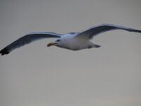 IMG 4840