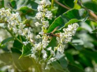 1H5A0244