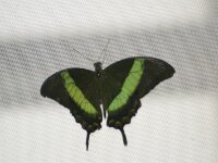 DSC02999