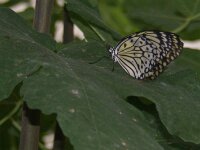 DSC03014