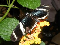 DSCF0834