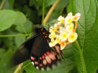 DSCF0850