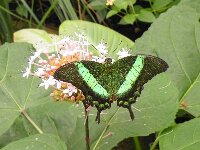 DSCF0854