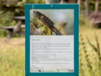 2020-08-02 - De Kam - Tielt