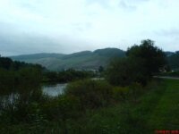 DSC000601