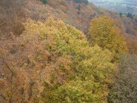 DSC01305 03