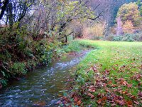 DSC01314 03
