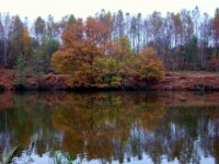 DSC01317 03