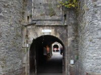 DSC01343