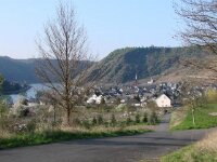 DSC00530