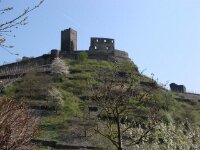 DSC00537