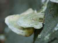 DSC00800