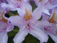 DSC00804