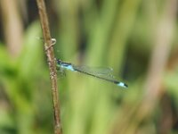 DSC00842