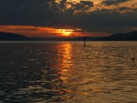 Bodensee Sunset 08