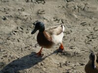 DSC00508