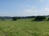 Harre (45)