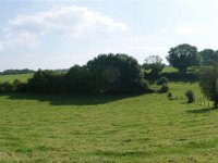 Harre (46)