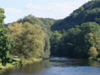 Harre (66)