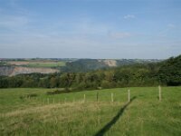 Harre (77)