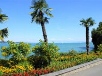 Bodensee Insel Mainau 03