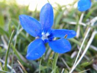 DSCF0490