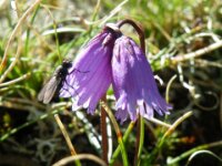 DSCF0493