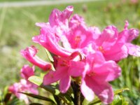 DSCF0504