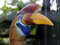 Paradisio Vogels 14