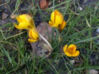 Zutendaal 08-03-2008