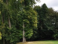 De tuinen van Annevoie 096