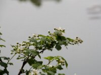 IMG 2843