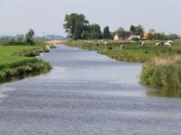BachtenDeKupe 018