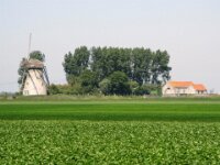 BachtenDeKupe 111