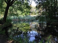 Brielmeersen 2009 160