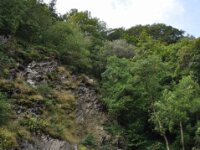 Herfstrit Esch sur Sure 017