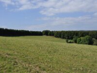 Herfstrit Esch sur Sure 089