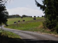 Herfstrit Esch sur Sure 095