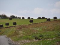 Herfstrit Esch sur Sure 101