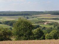 Herfstrit Esch sur Sure 107
