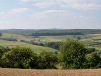 Herfstrit Esch sur Sure 108