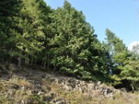 Herfstrit Esch sur Sure 153