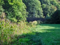 Herfstrit Esch sur Sure 162