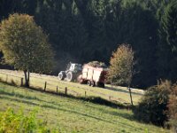 Herfstrit Esch sur Sure 175