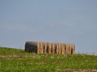 Herfstrit Esch sur Sure 191