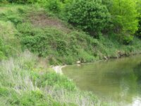 BlauweKei 60