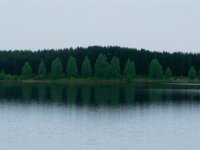 BlauweKei 70