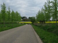 Bloesemrit 125